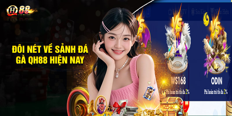 Đá Gà QH88 - Đỉnh Cao Kịch Tính, Hấp Dẫn Từng Giây 1 Đôi nét về sảnh Đá gà QH88 hiện nay